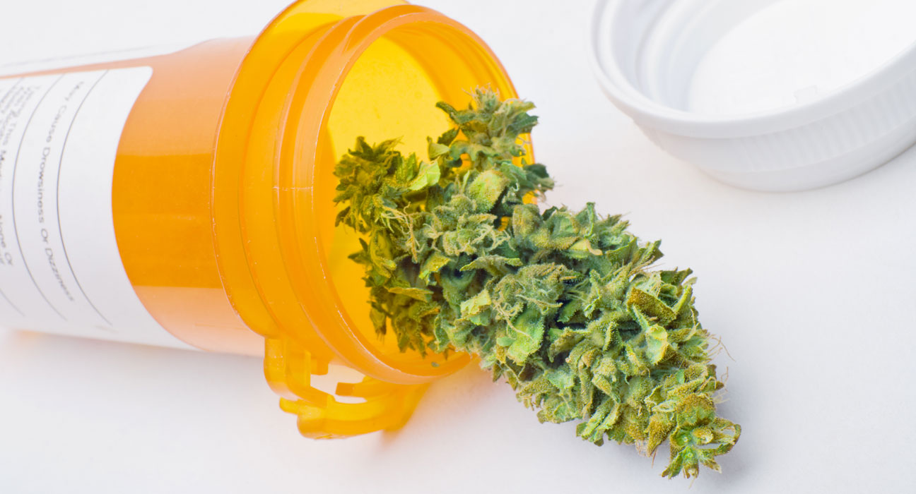informazione sull'uso terapico della cannabis